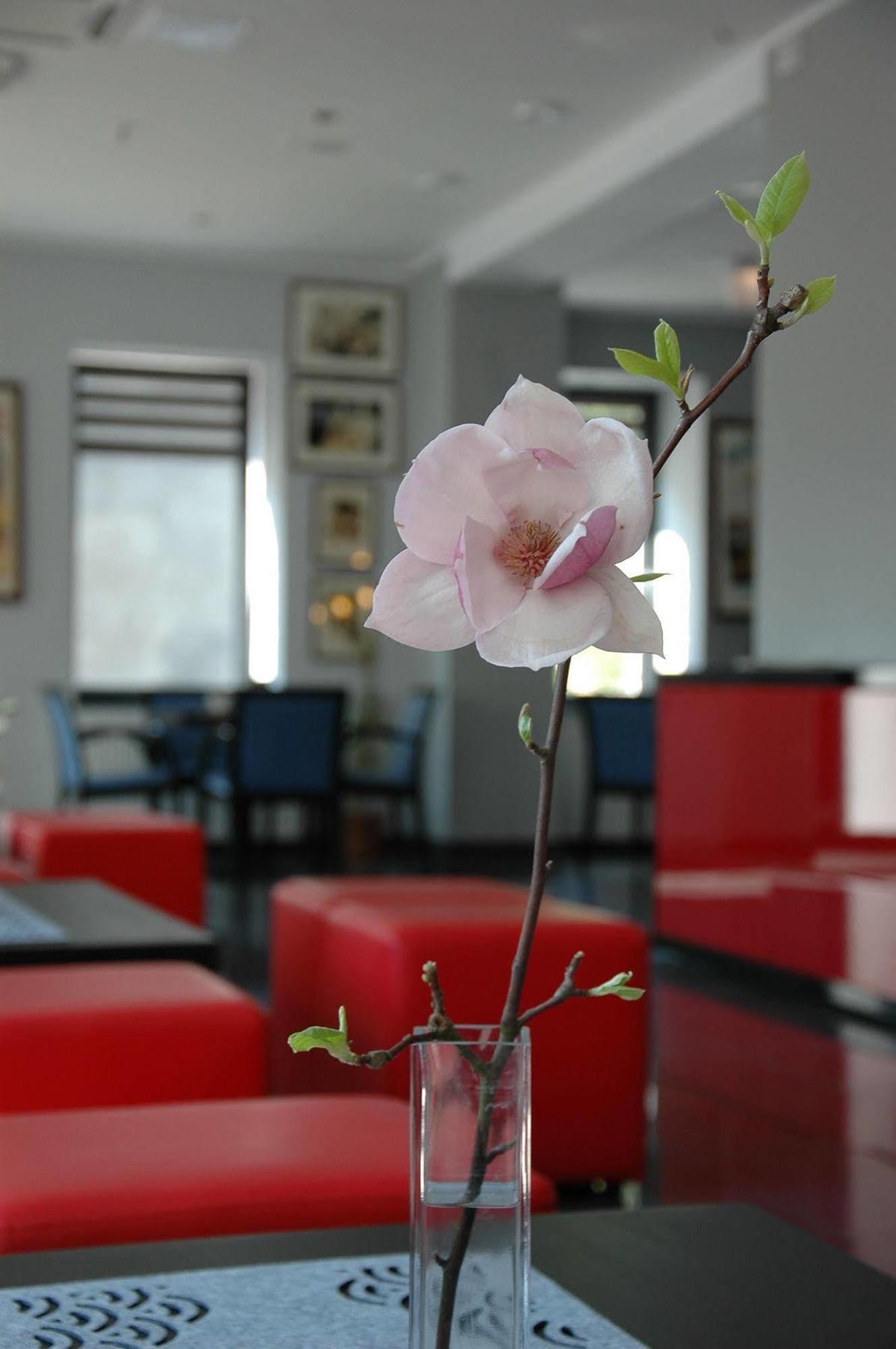 Hotel Opera Тарновске Гори Екстериор снимка